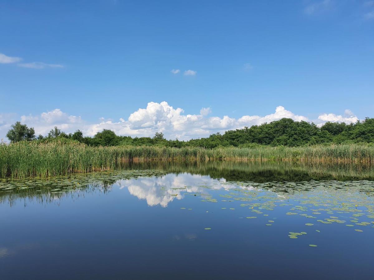 Lütt Hütt Hotel Rechlin Kültér fotó