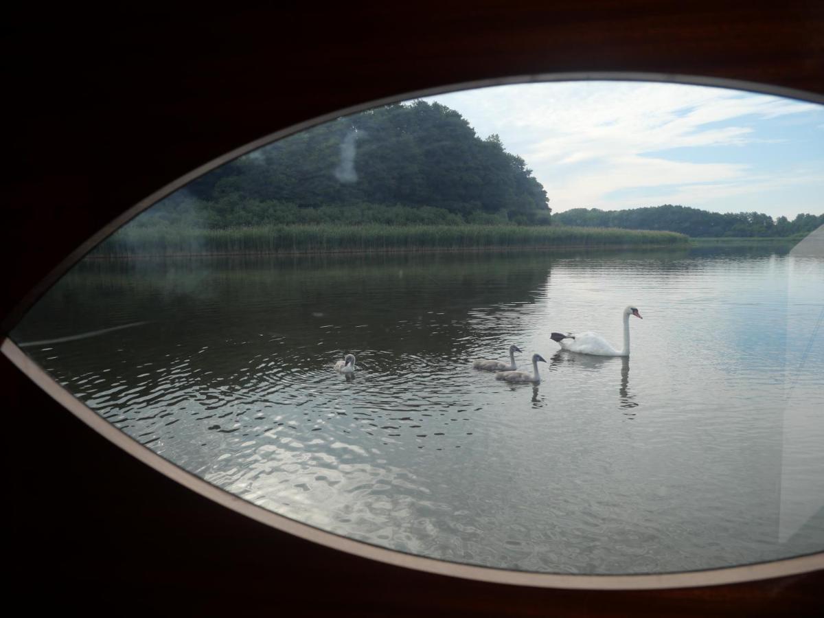 Lütt Hütt Hotel Rechlin Kültér fotó